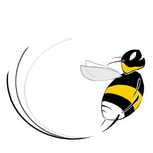 Sozialhummel-Akademie